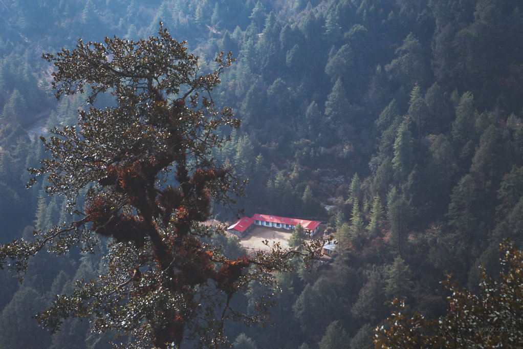  Nepal tree house
